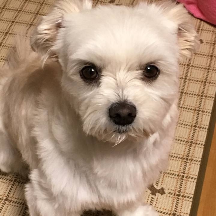 90d826f0 c811 46c4 a409 05edfe24b36a 1514705893536