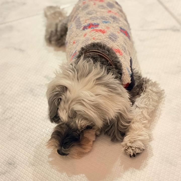 90d8369e da75 47c1 9265 1340d373f481 1765443991589