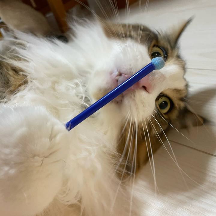 90d838a1 a68d 4d8d 8ab8 dc457533d2f9 1702067962623