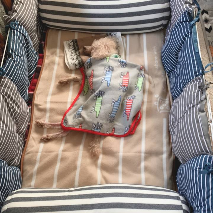 90d86946 02b8 48ba a84d 58a2b9fafb76 1640762351999