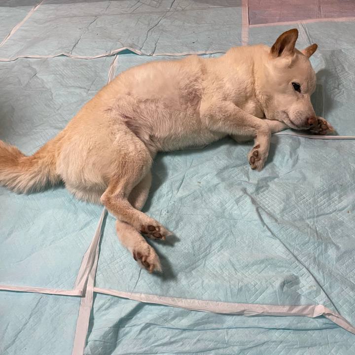 90d86c68 1eaf 4f45 8785 eb338a536a8c 1642896772394