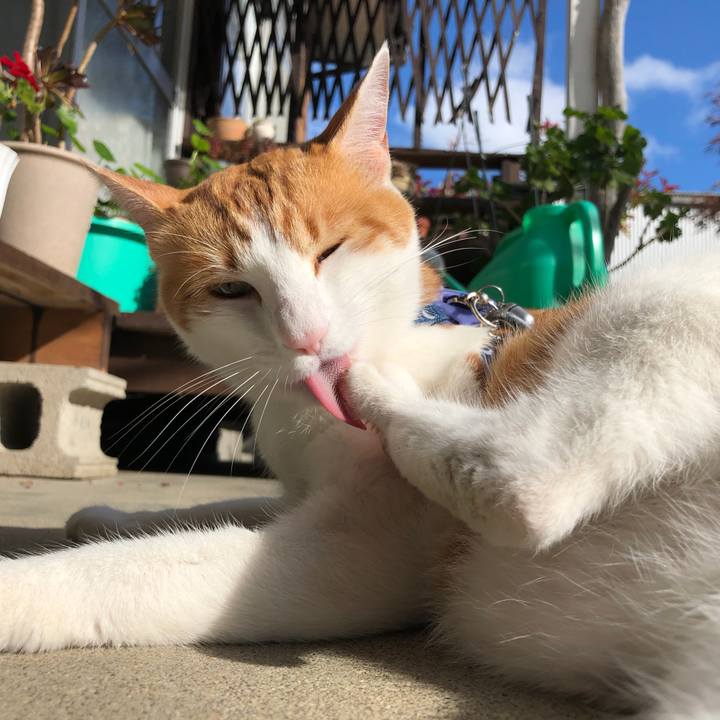 90d89eb3 a08e 46cc a37f edf23bd3dfd3 1540962808408