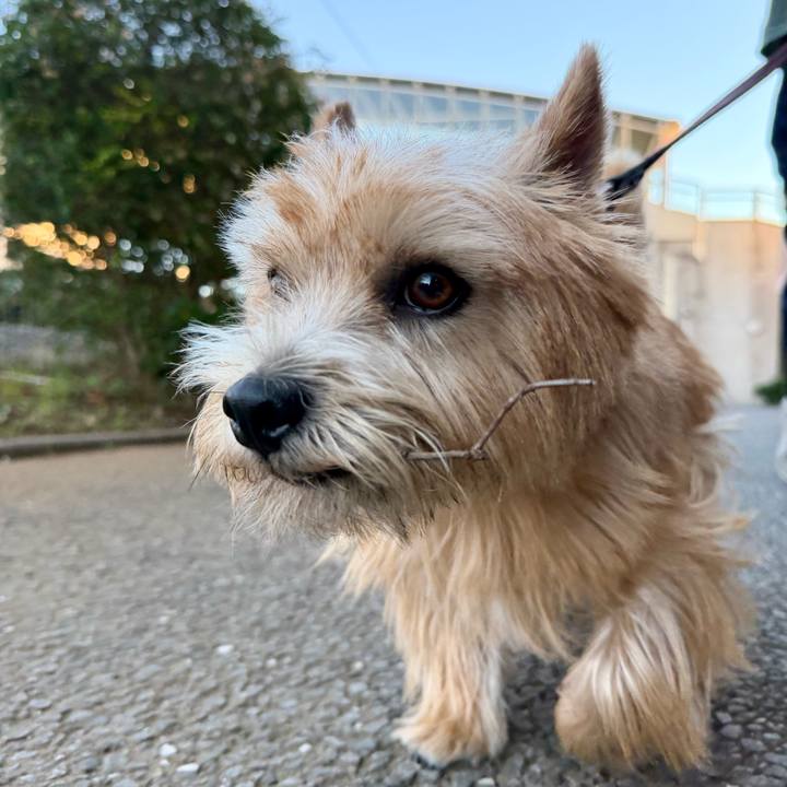 90d89f9a ac9d 4b9c b20d ea7797d380c8 1762178599908