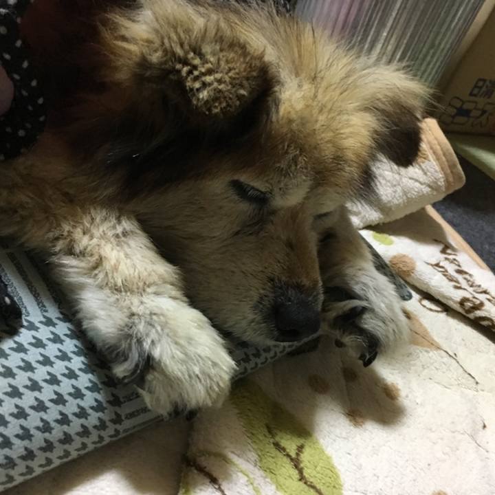 90d8ad9d 3b52 447d 9475 8c2561298bdc 1604201423434