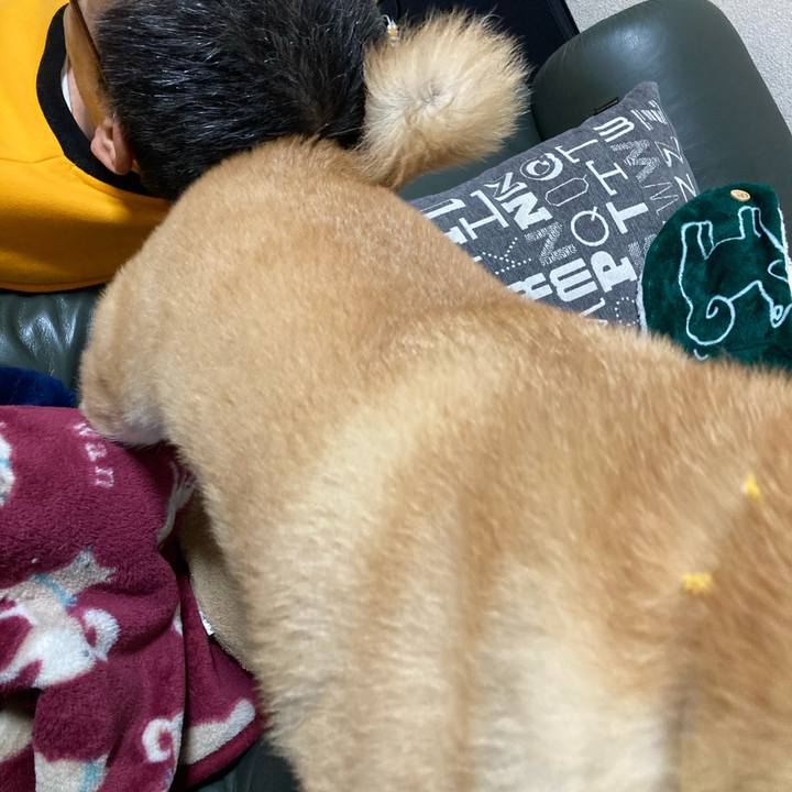 90d8f5f3 d6e9 4dbe b5e8 9f137fd2fcdd 1613196338398