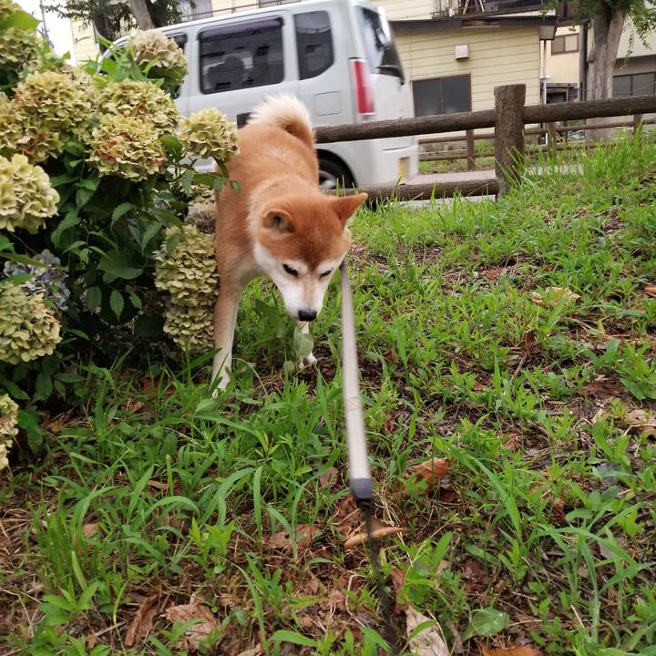 90d8fd2e 8786 4b0d 9a66 2f1a46290608 1564739665149