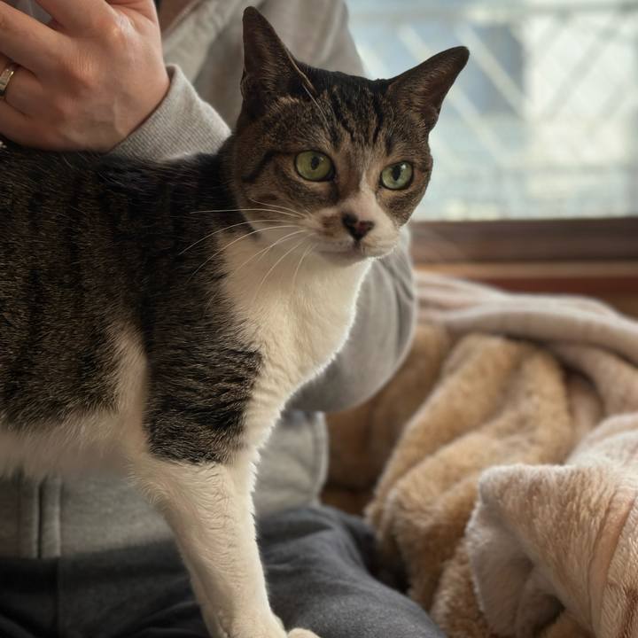 90d903f2 4cdd 4646 a4f7 2bde40efcb76 1675130130854