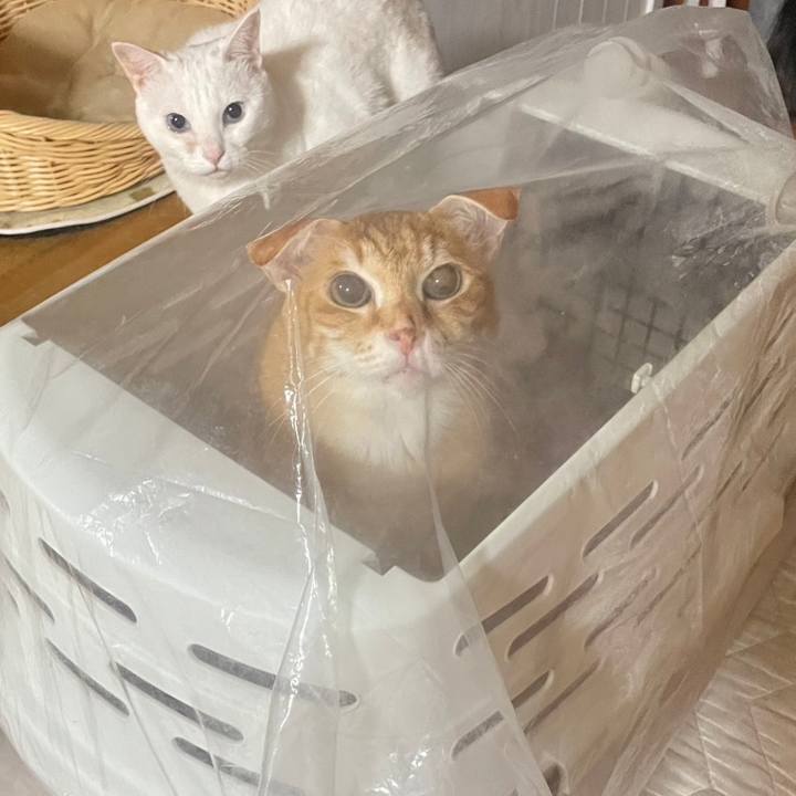 90d9207b a461 4a65 80ac 8403c9f7e0ec 1681564426178