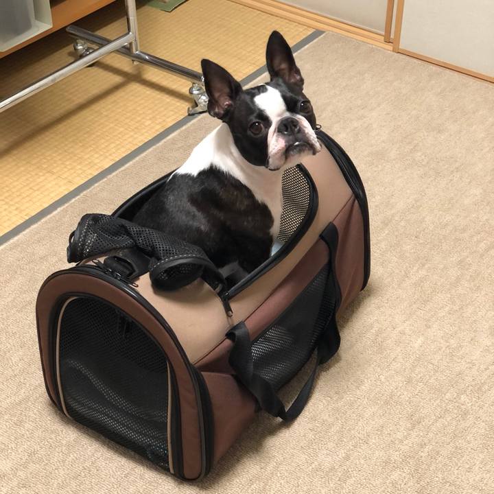 90d92640 38ba 44c3 a87a ad4612d0b4d7 1598938125849