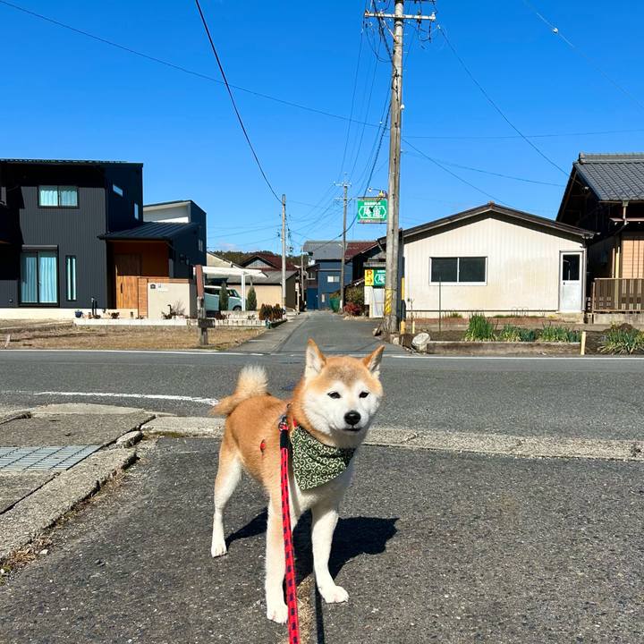 90d92adb e602 486e 8642 172933cade6d 1707304041318