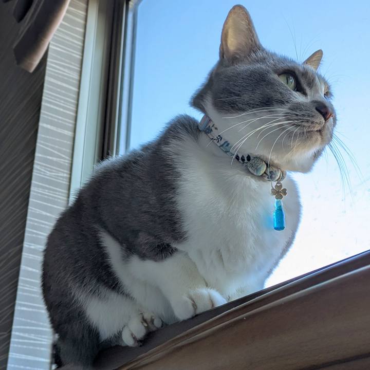 90d93f8e 3c78 4289 b504 9563541a0dfc 1735696545570