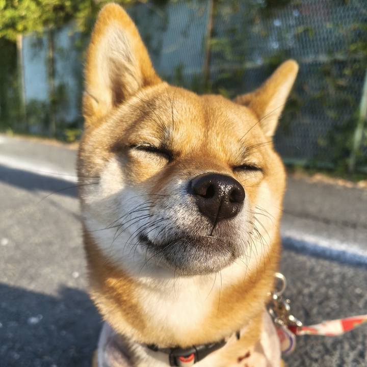 90d99567 1ed0 4bf7 b8e6 e6598e89de13 1763085594179