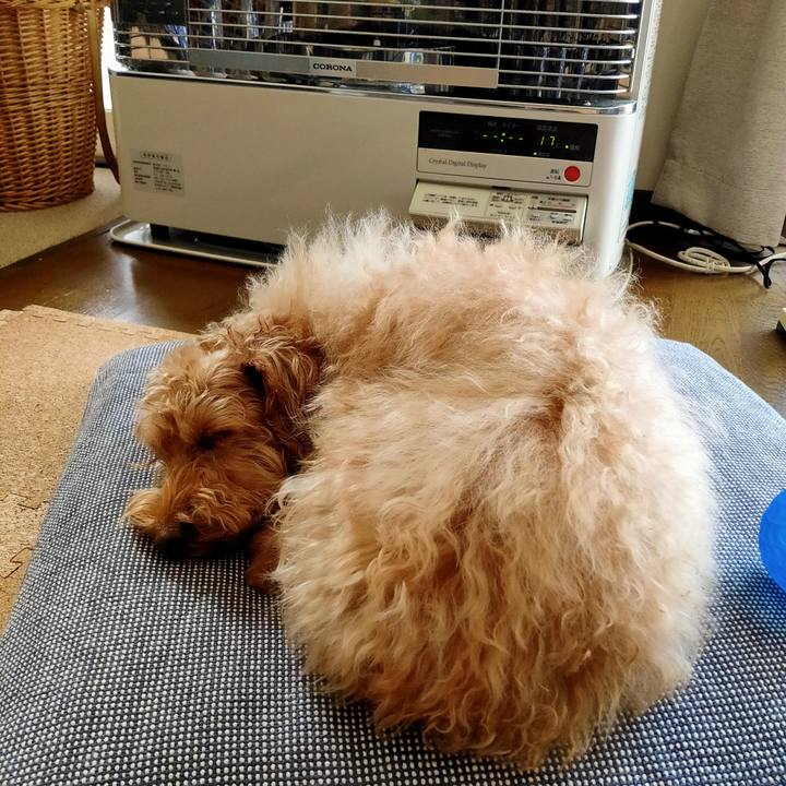 90d99ca3 7c82 4fba 9426 011912337cc3 1610852609067