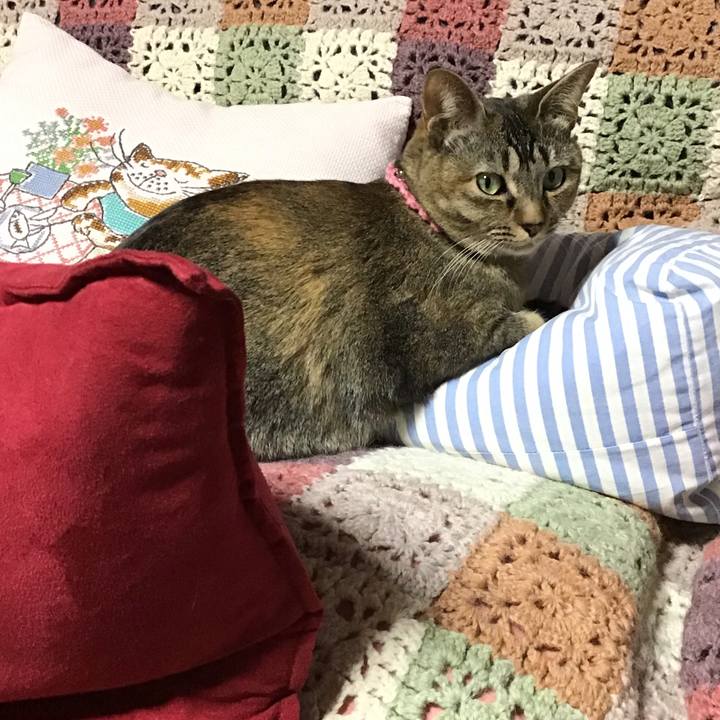 90d9b70f a98b 4e9e aba4 fa490e0568ff 1614501787832