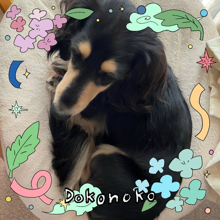 90d9d4f0 8000 44de 87d3 dd6bc1e882d4 1717744144133