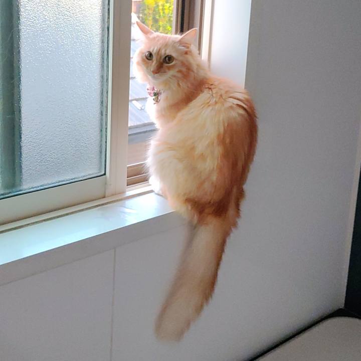 90d9dbab 5ed9 4ac2 875c 867bea4d6bd0 1664488352783