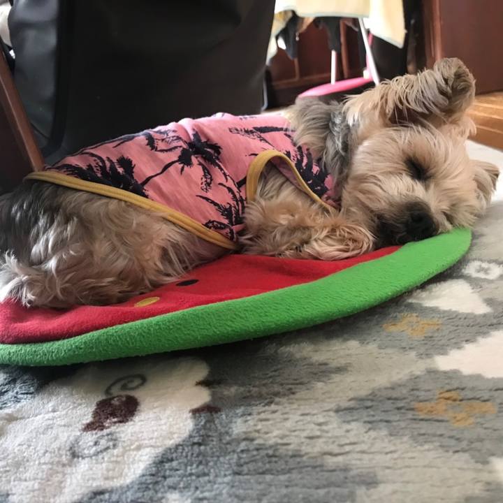 90d9e1ee 8c5b 47ec acf4 ef633d8c4c1e 1581413424494