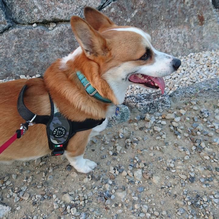 90d9ecb6 9dfc 43be bdb9 2037c455456e 1623390384301