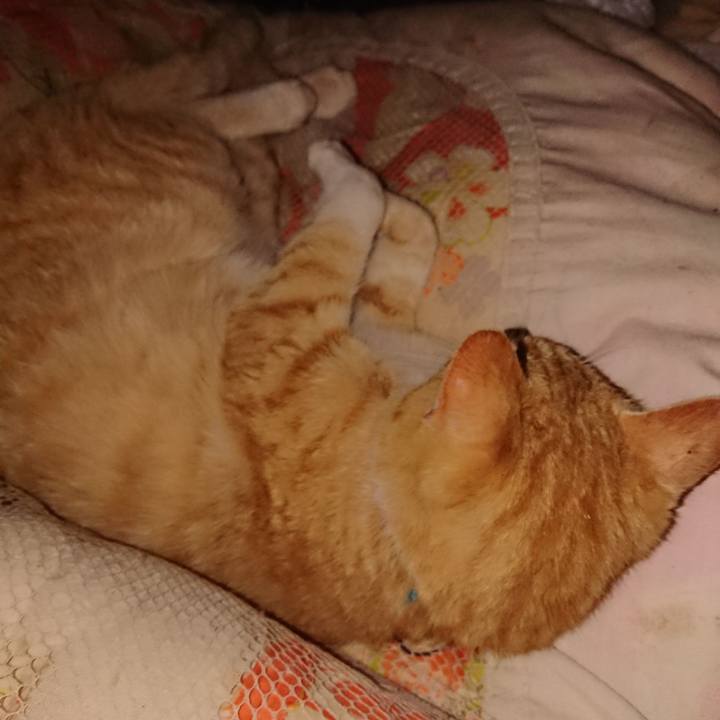 90d9ee47 7571 4e91 8ca7 bc420f403d8c 1556206372934