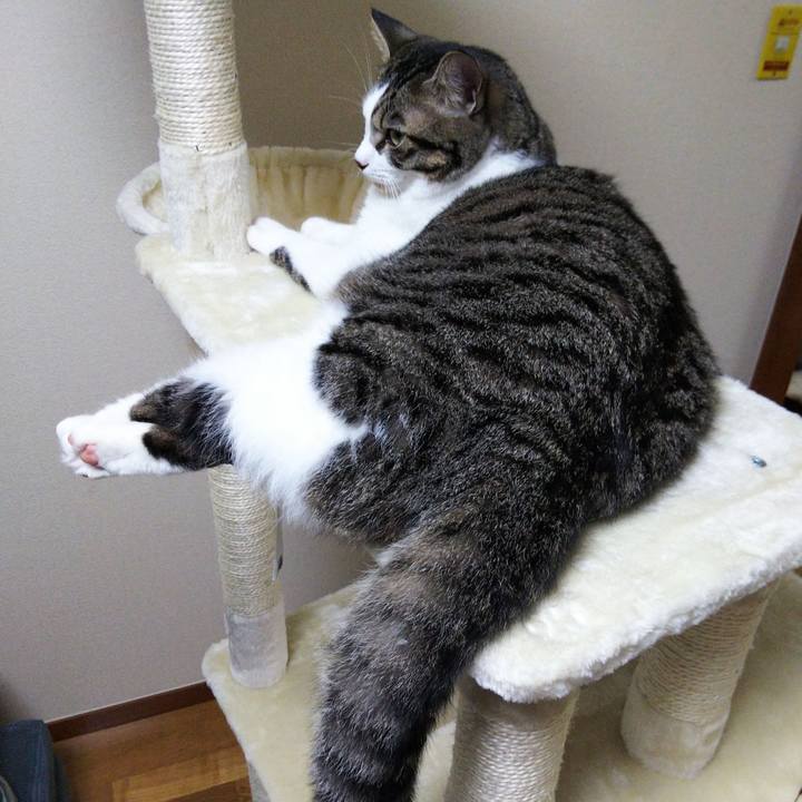 90da0a78 81c1 40cd b44a abed2dbf2814 1630759983625