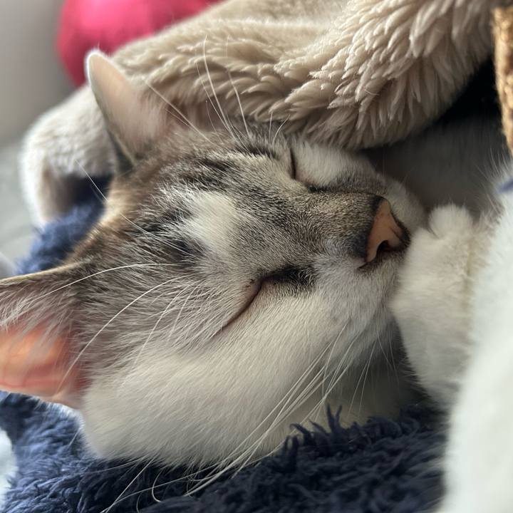 90da3605 6d5b 4b5d a241 d6001c67a770 1679012703727