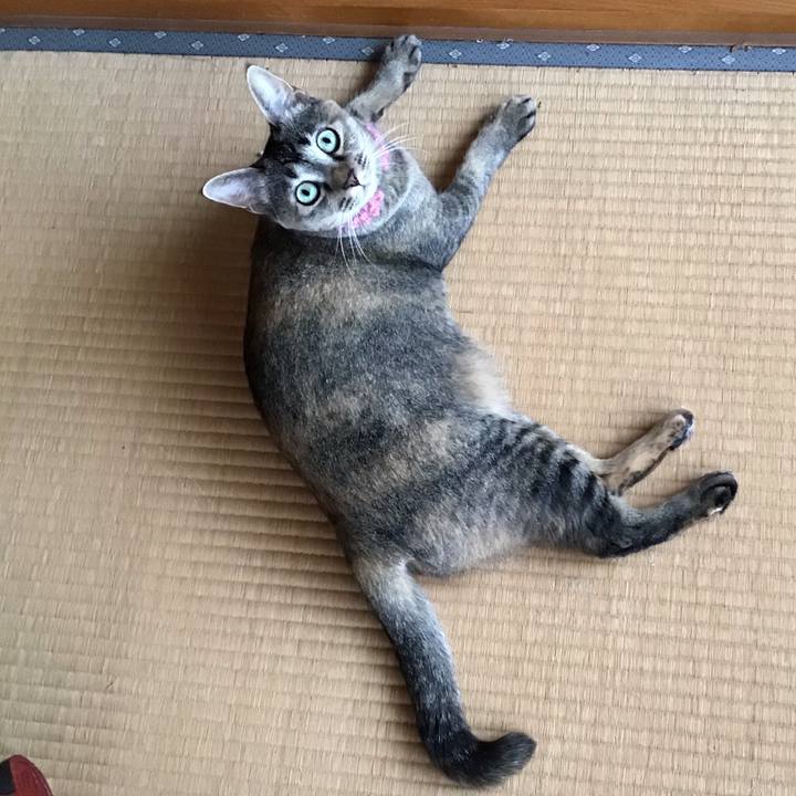 90da3f53 6a23 42eb a0c2 1087548aa1d6 1595373905517