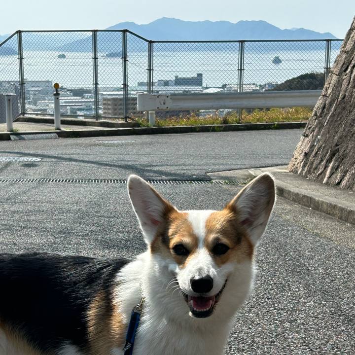 90da55c1 21a5 4997 baf3 247ba0fa7020 1774589303114