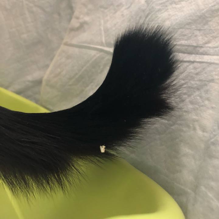 90da5e43 856f 4a95 975b 2228a129bb87 1555704448684