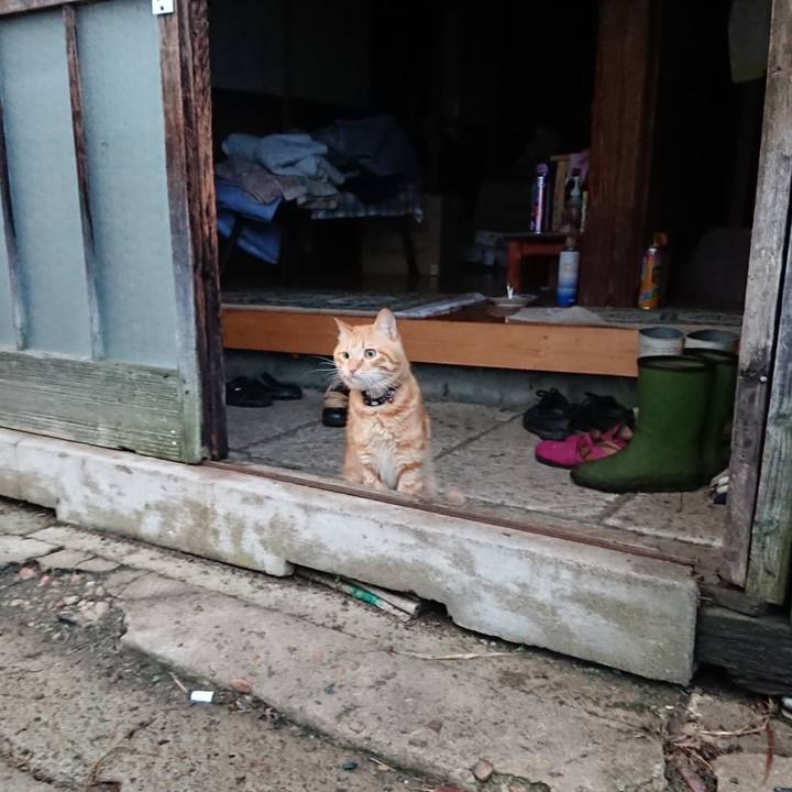 90da8017 635c 497d 8054 50f4735dd41b 1658528474525