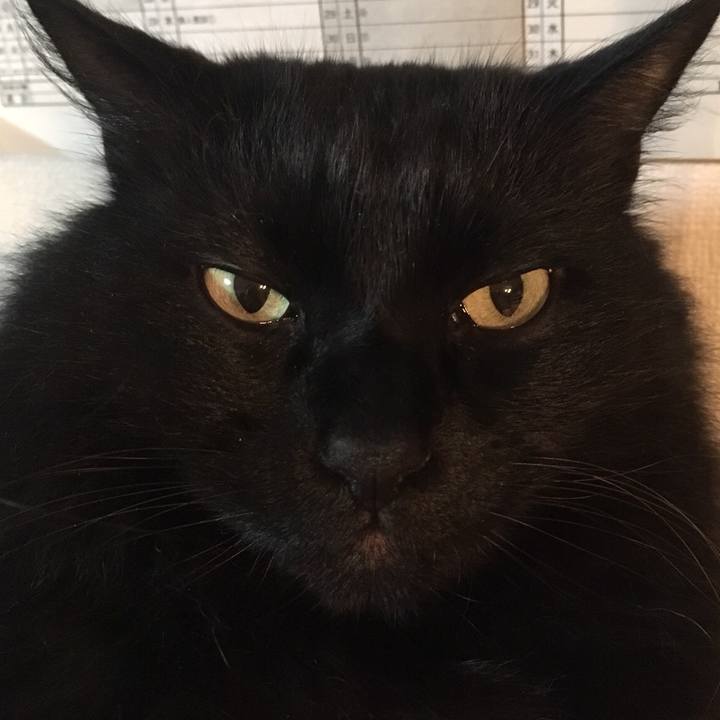 90dab955 1823 4492 8e34 7e29224c9e30 1541406537963