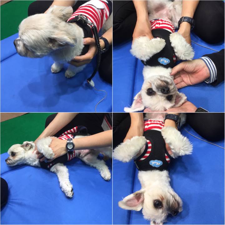 90dacee4 8d84 45f3 8e59 b36c2fa831b7 1522668073347