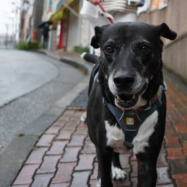 90dad03f ddf5 4343 a8b9 e66008833a15 1760917619492