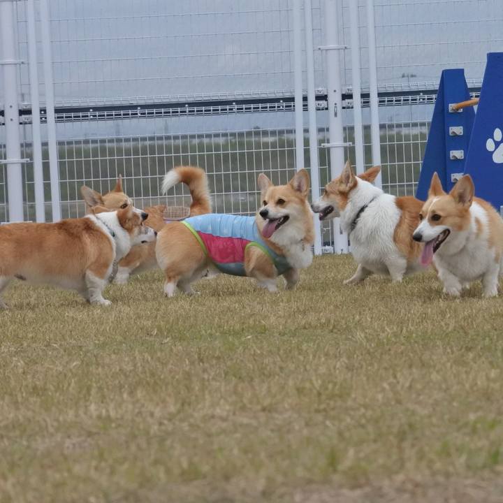 90daf40c 6e3d 40e1 9c10 879e196b63c1 1592142599906