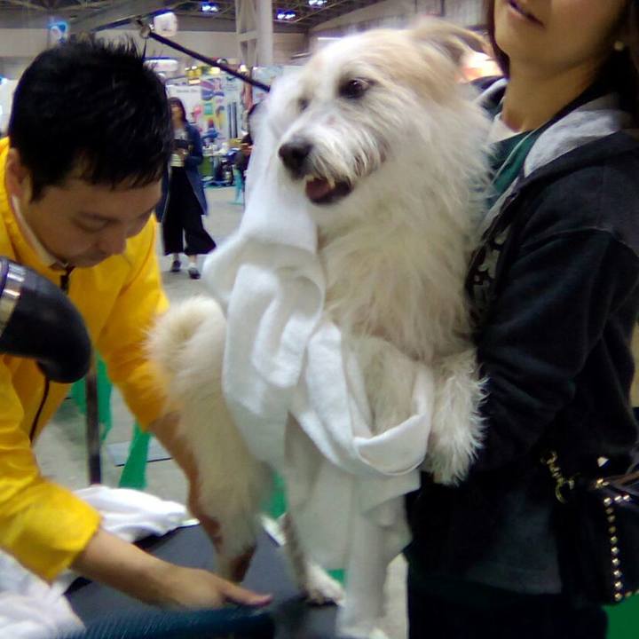 90db2473 0fda 46e0 8c44 6b33d57606f5 1522496585109