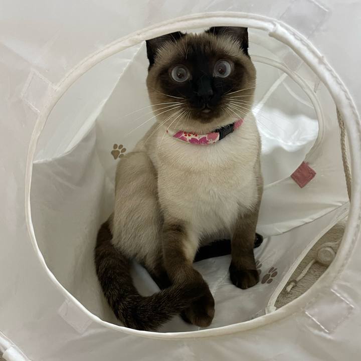 90db28f0 298e 4a0b bfe0 4e3a0102cdfb 1713299011354