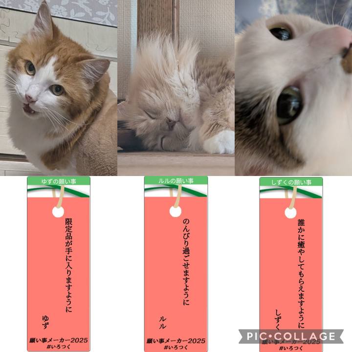 90db54a2 8e3b 4063 9d59 13a6bf0bac2f 1751894565740