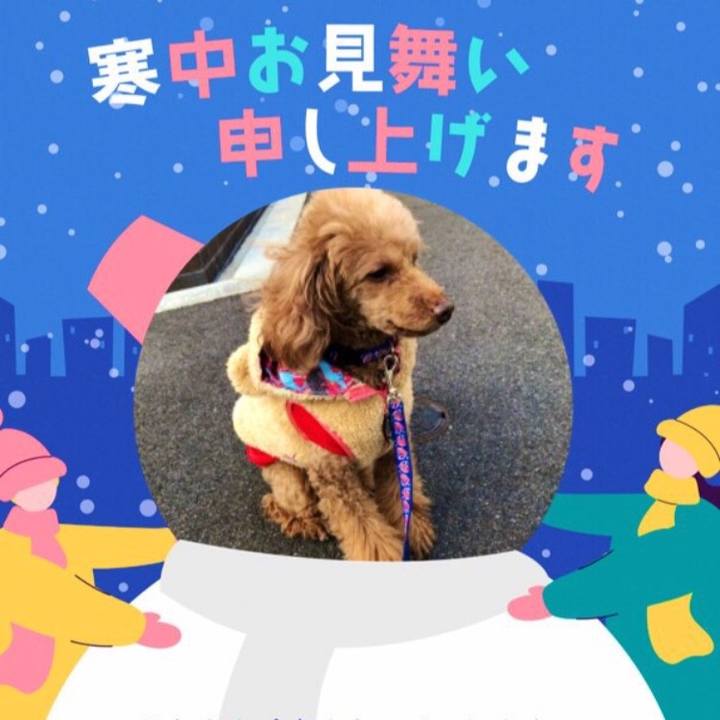 90db9102 b445 405a b1fb 0064008981bd 1641179459382