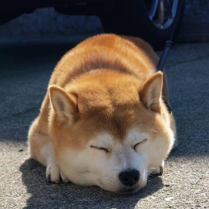 90dbaaa8 57eb 4c74 8cbe abf38265e4f3 1590794986181