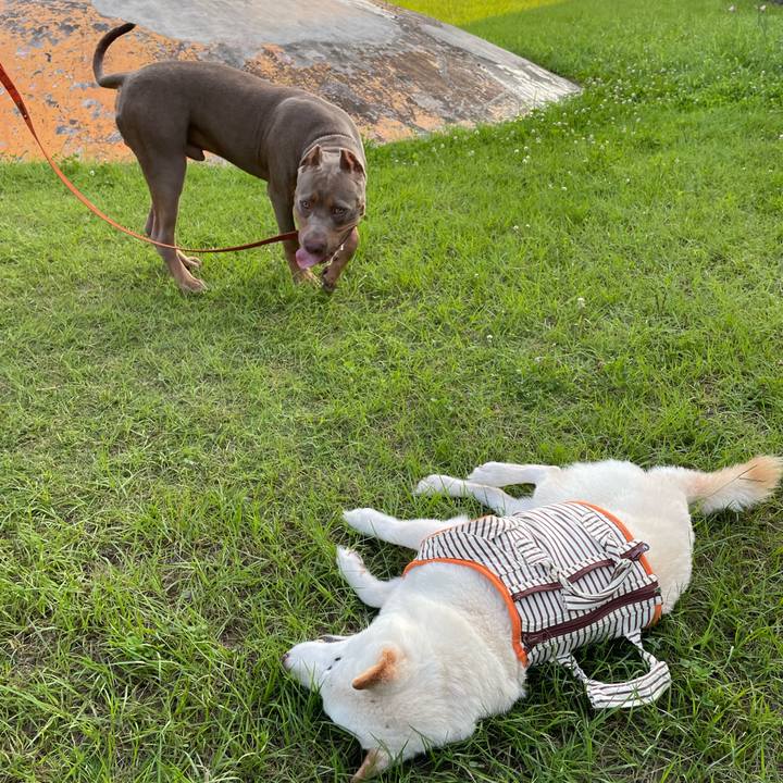 90dbb586 1b47 4ca0 b0b4 6966ccd2ef82 1656251621737