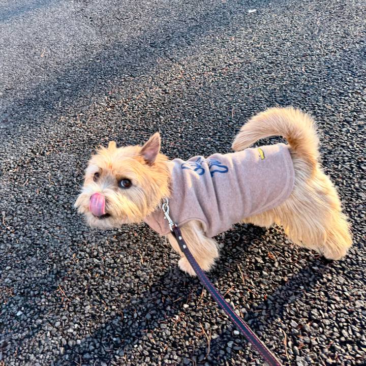 90dbbddc c94e 48c6 874c 807350bb19f2 1766763633185