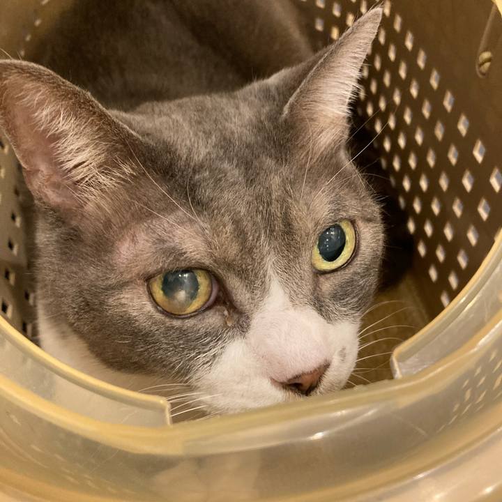 90dc340f 3195 4bce 9f2a 79d1de040138 1723255870614