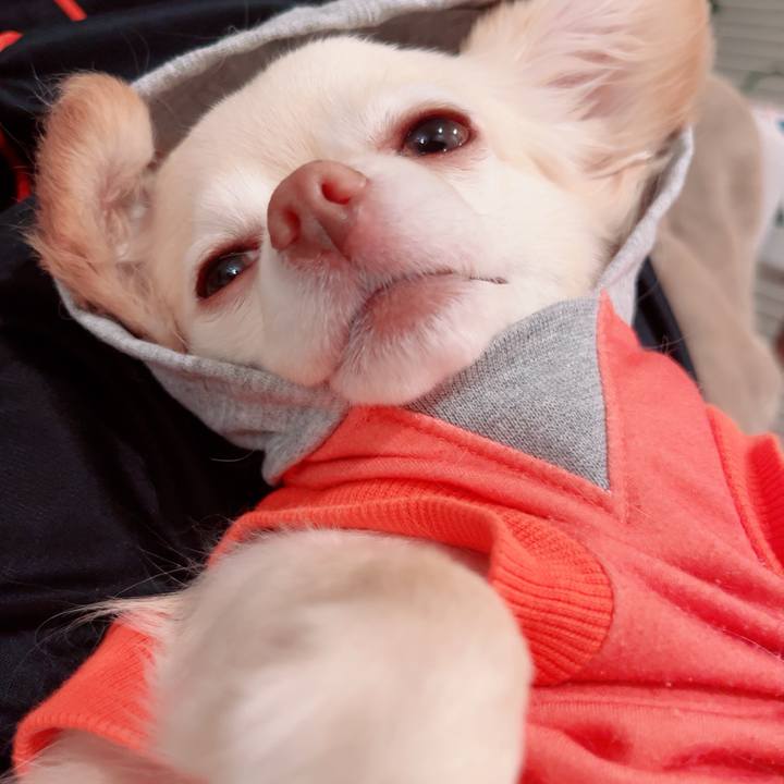 90dc55a8 a55a 4029 ae5d de4b31fcd396 1746853926838