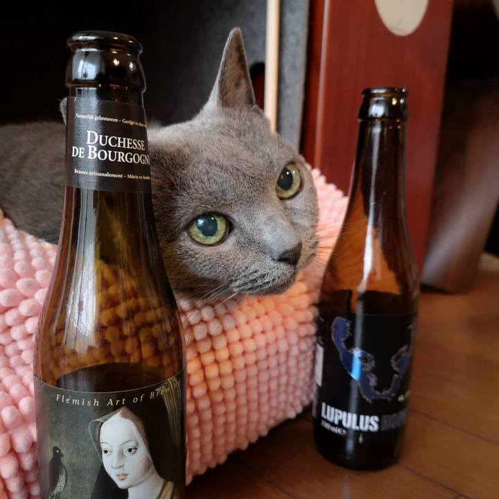 90dcac92 4aca 419a b4cc 14e633b825cd 1590912842037