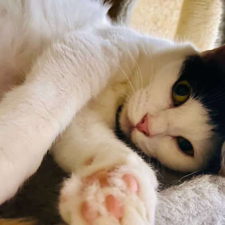 90dcbaa6 ed60 4225 b397 4e20afd77bd3 1658235557051