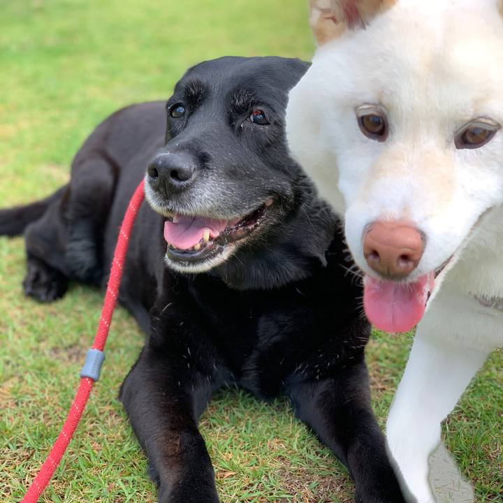 90dcc241 7a7f 408b 85e0 2ba5e472e5cc 1560686657615