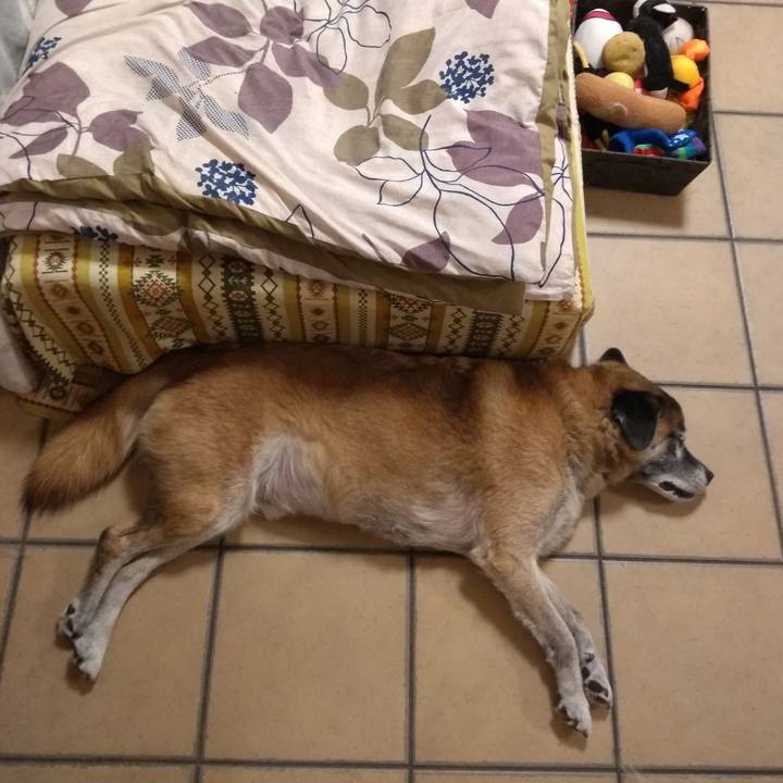 90dce9d0 d429 4364 b29b 0ce1f91be81f 1568730496660