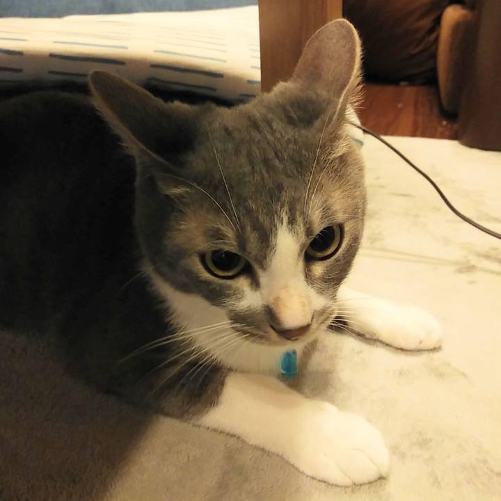 90dd0618 3405 4679 a782 72f5c4041981 1593008389900