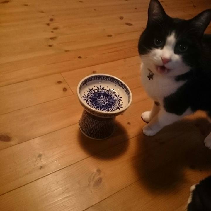 90dd12f5 877d 4813 bfc9 9b8aa9afa9ab 1548859996842