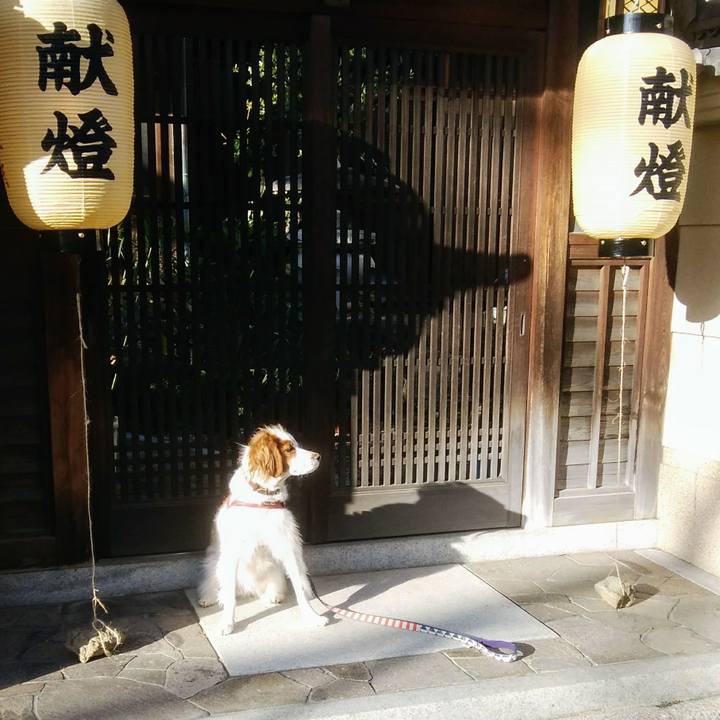 90dd37ed be4f 4487 8127 543842c33015 1540109859053