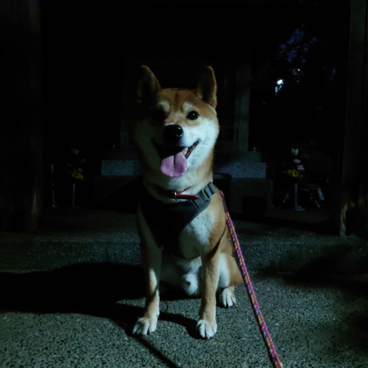 90dd5d20 945f 43da 8c02 5e1434223f93 1764713430111